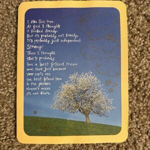 Taylor Swift rare American Greetings card #174